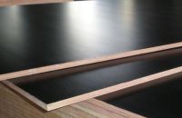 Chọn Lọc Nguyên Liệu Cho Ván Phủ Phim