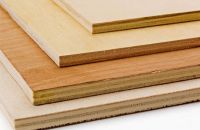 Những Ưu Điểm Vuột Trội Của Ván Ép Coppha