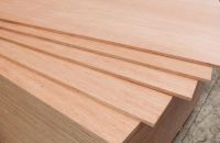 Đặc Tính Và Ứng Dụng Của Ván Ép Chịu Nước