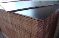 Vai Trò Của Ván ép coppha Trong Các Công Trình Thi Công