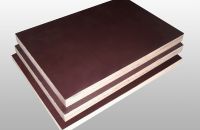 Tìm hiểu về đặc tính và ứng dụng của ván ép cốp pha phủ phim