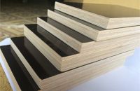 5 Lý Do Giúp Ván Ép Coppha Phủ Phim Ngày Càng Được Ưa Chuộng