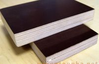 Sử dụng ván ép coppha phủ phim cho xây dựng nên hay không?