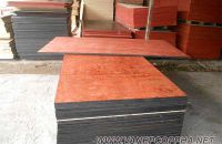 Ván ép coppha chịu nước và những ứng dụng tuyệt vời dành riêng cho nội thất