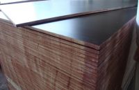 Đặc Điểm Và Cấu Tạo Của Ván Ép Coppha Phủ Phim